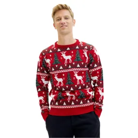 Festive Men's Sweater with Holiday Design